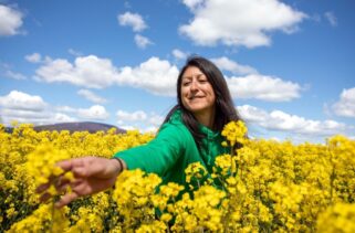Irish Tourism Sector Under Spotlight as Fifty Shades Greener Unveils