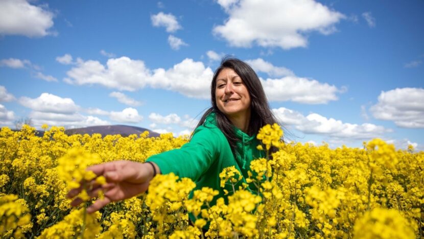 Irish Tourism Sector Under Spotlight as Fifty Shades Greener Unveils